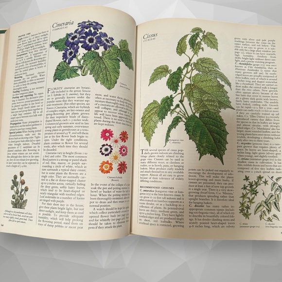 Reader's Digest Success with House Plants Book - Picture 5 of 6